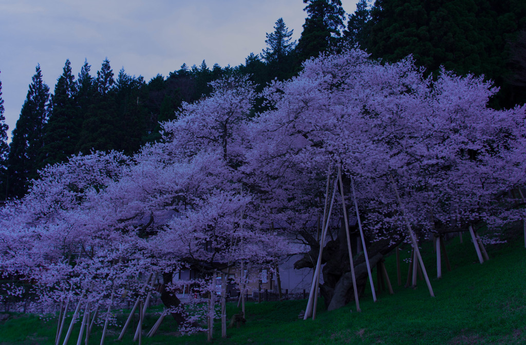 1100年の時を超えて・・・