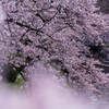 ま・ん・か・い
