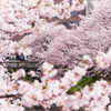 覗いてみれば・・・