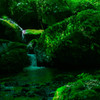 GREENな世界
