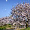 春の嵐