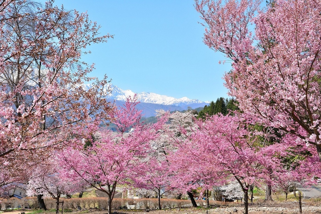 長野　大町公園