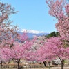 長野　大町公園