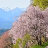 長野　大草城址公園