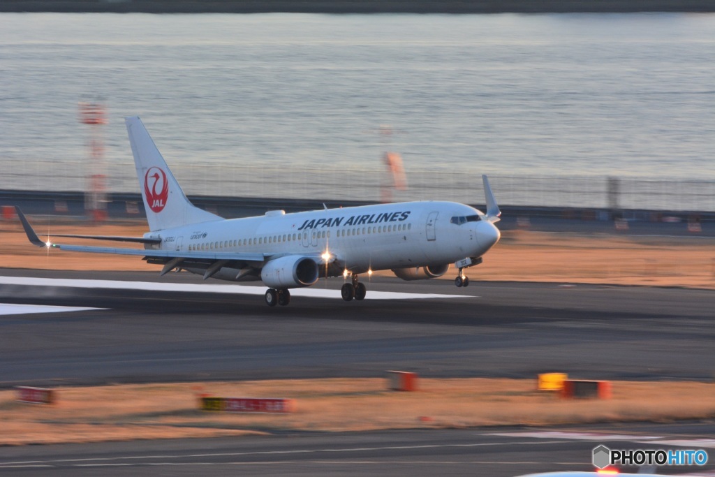 ニッコール200-500を羽田空港で試し撮り