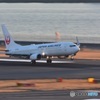 ニッコール200-500を羽田空港で試し撮り