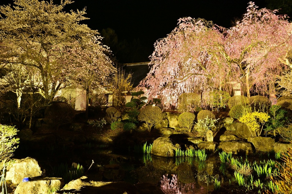 長野　光前寺