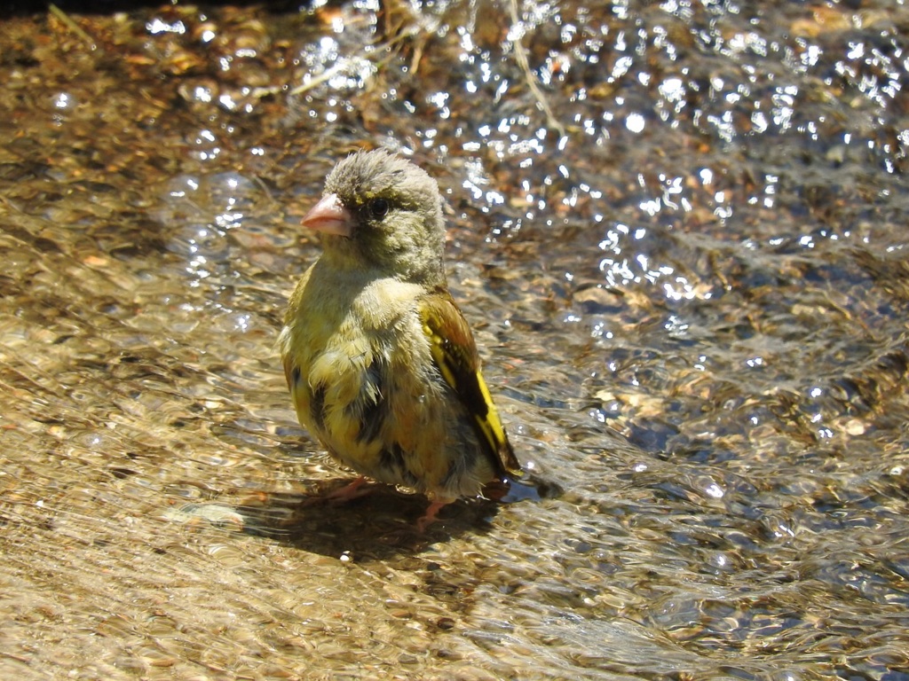 昼間から風呂