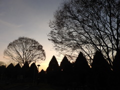 朝