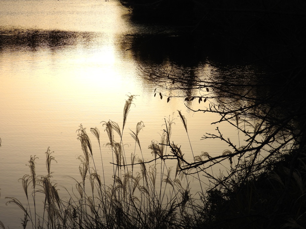 夕刻