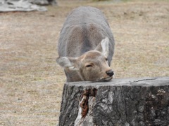 ここが好き。