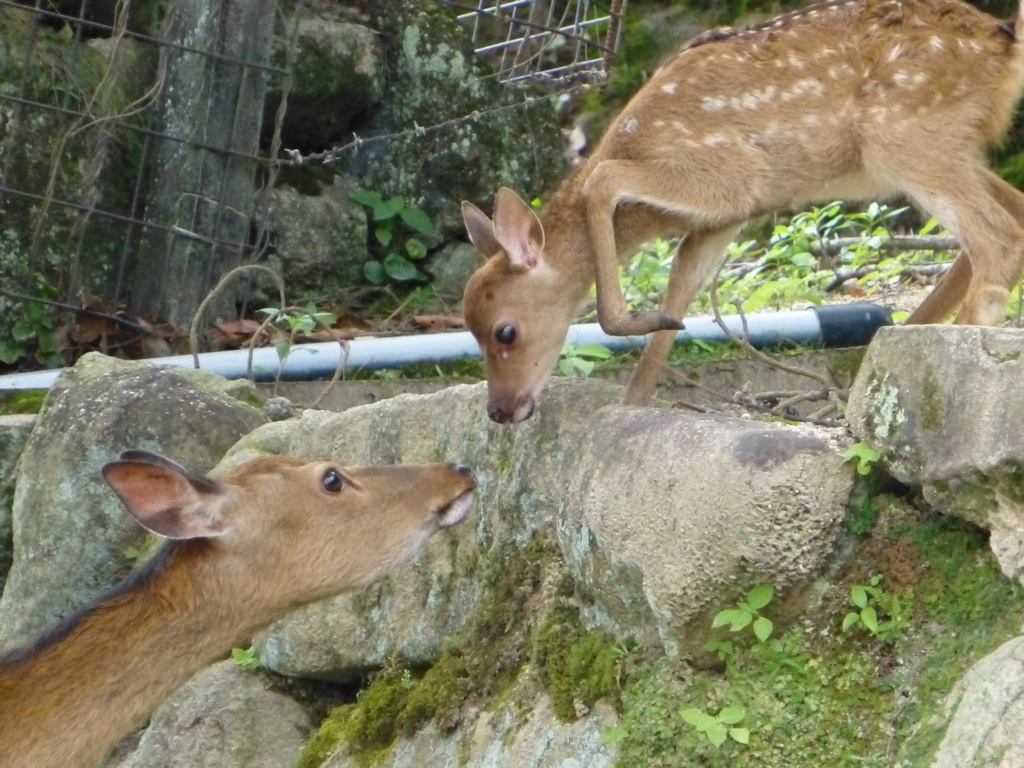 再会