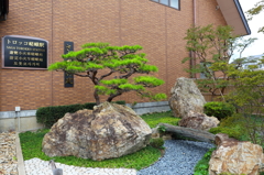 トロッコ　嵯峨駅