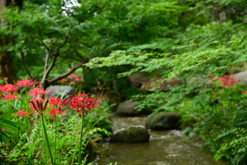 秋を迎える３