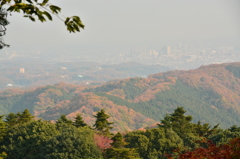 紅葉が東京に接近中