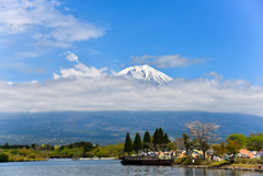 休日の光景