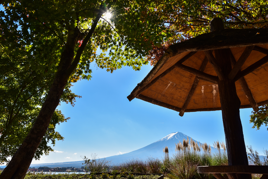 富士山を眺める憩いの場