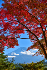 富士山を飾る紅葉