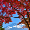 富士山を飾る紅葉