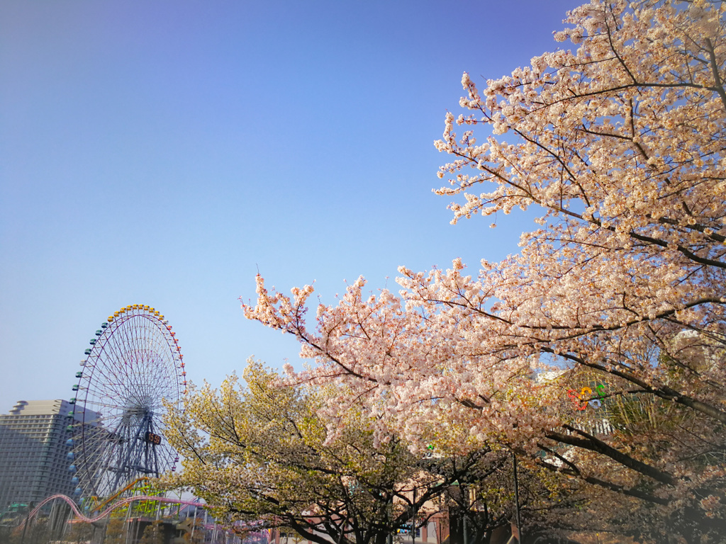 花の街