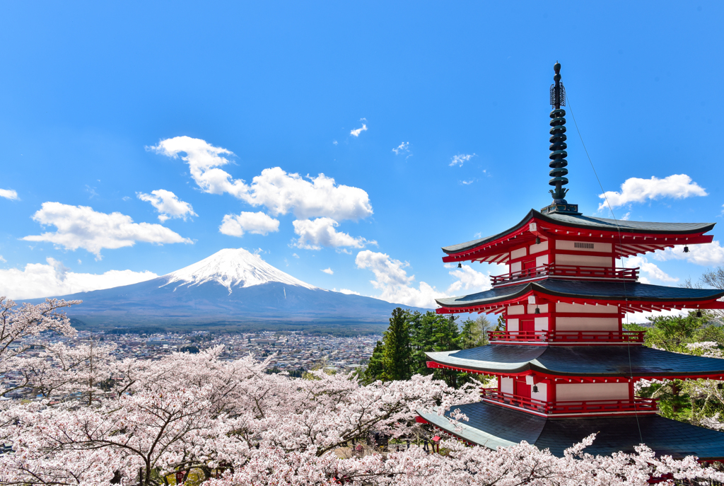 富士山を眺める