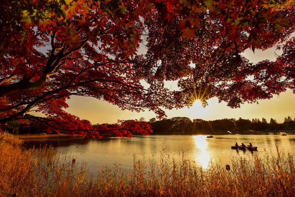 夕陽の光景