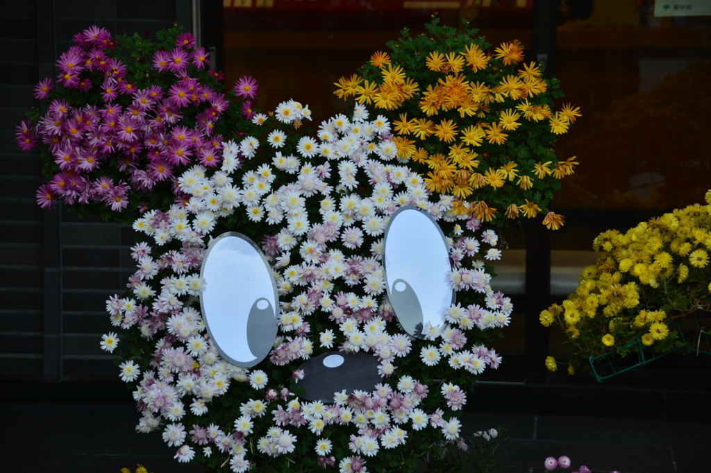 花のミニー