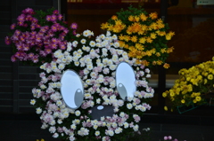 花のミニー