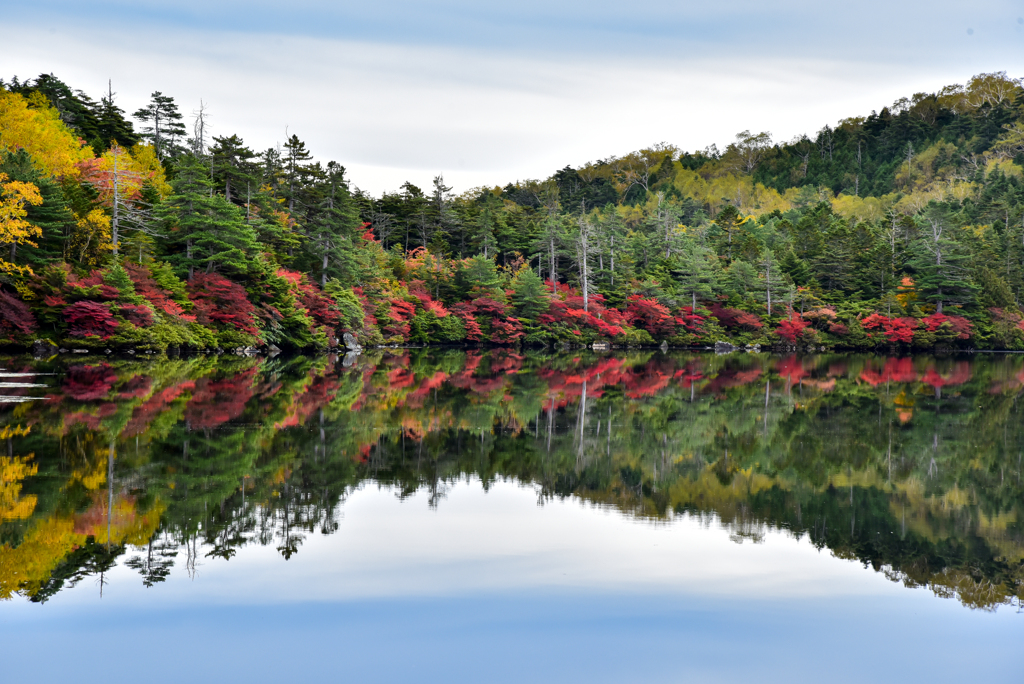 紅葉到来