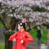 桜祭りのフラメンコ３
