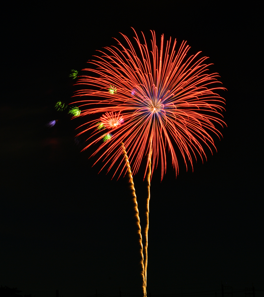 夏空を飾る花