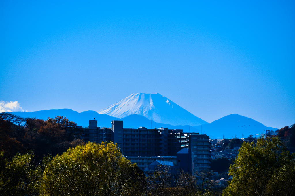 浮かび上がる富士山