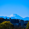 浮かび上がる富士山