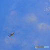 空中散歩