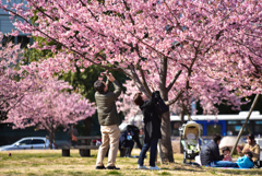 撮っておきたい春