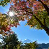 紅葉の向こう
