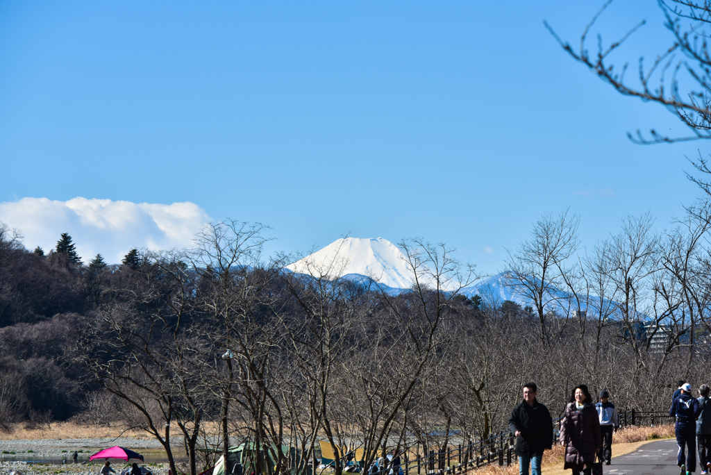 春日和