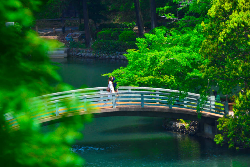 初夏の光景