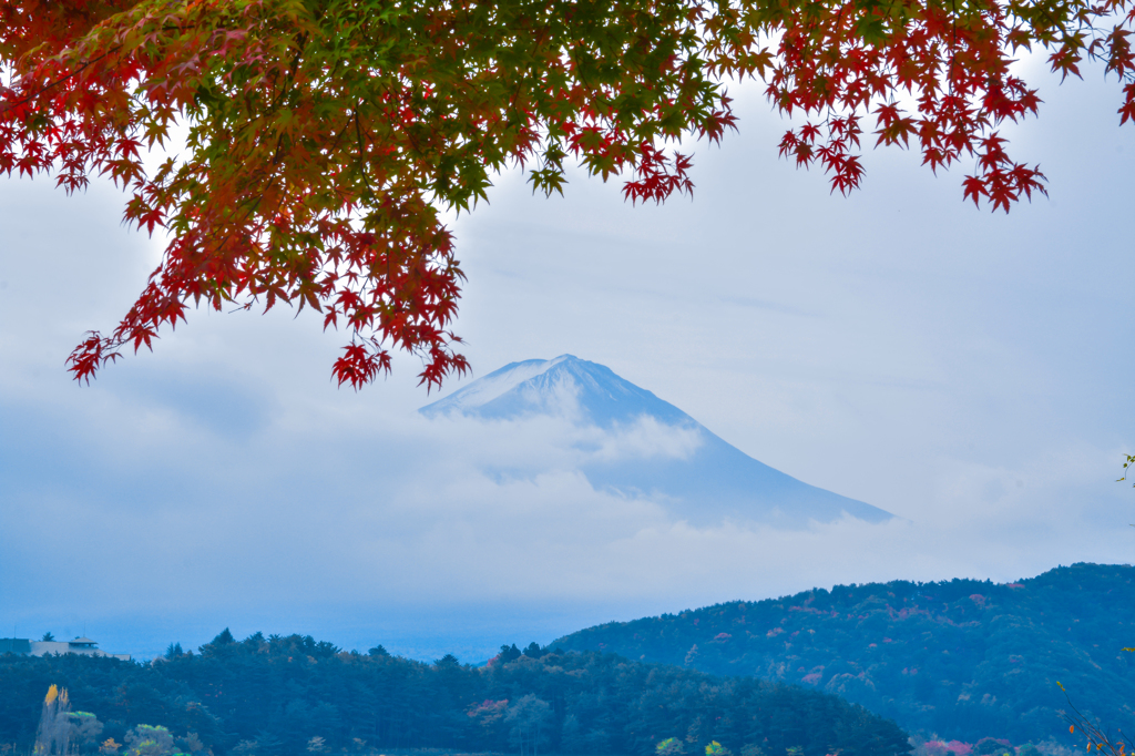 紅葉富士