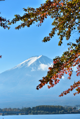 紅葉富士