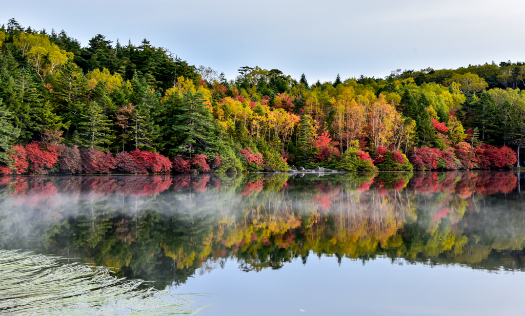 紅葉到来