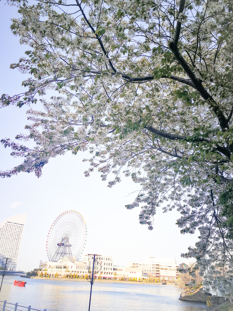 花の街
