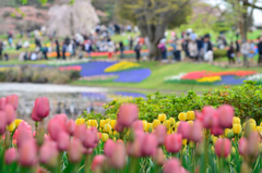 休日の公園