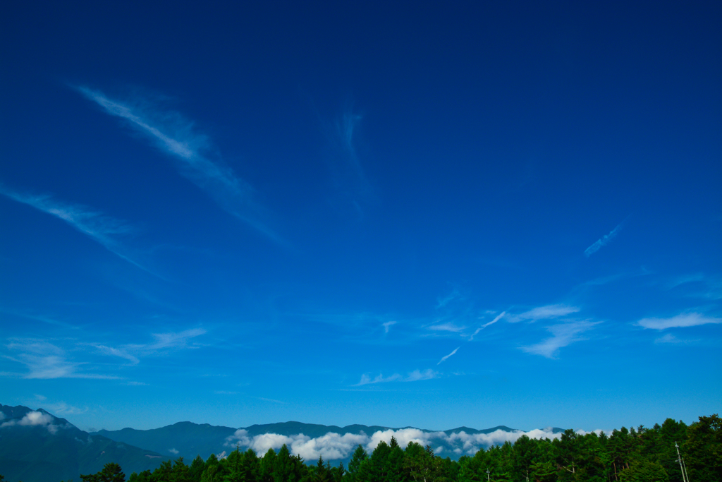 青空を恋しくて２