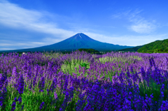 夏富士にハート