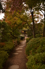 秋を迎えて