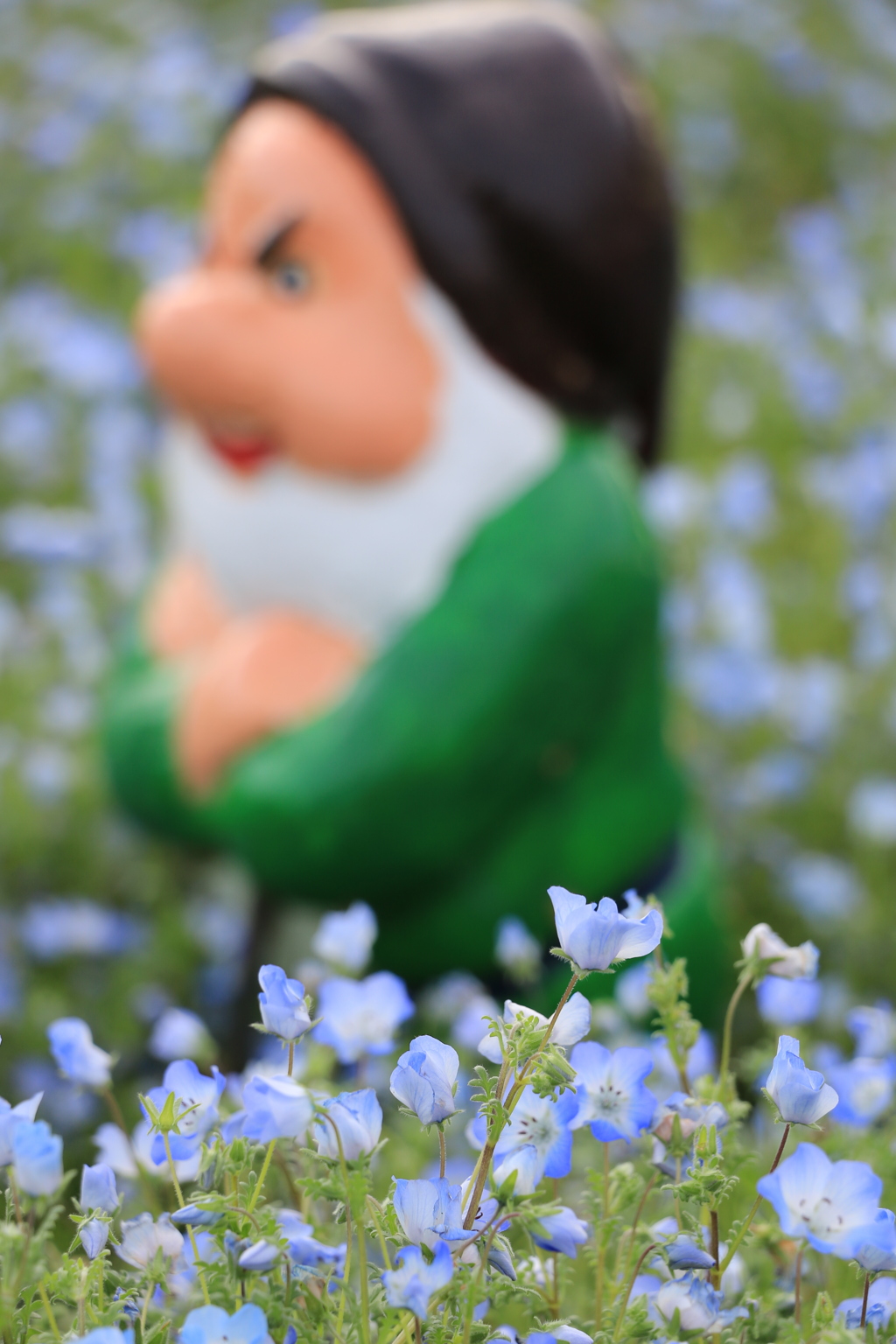 hana20160605a