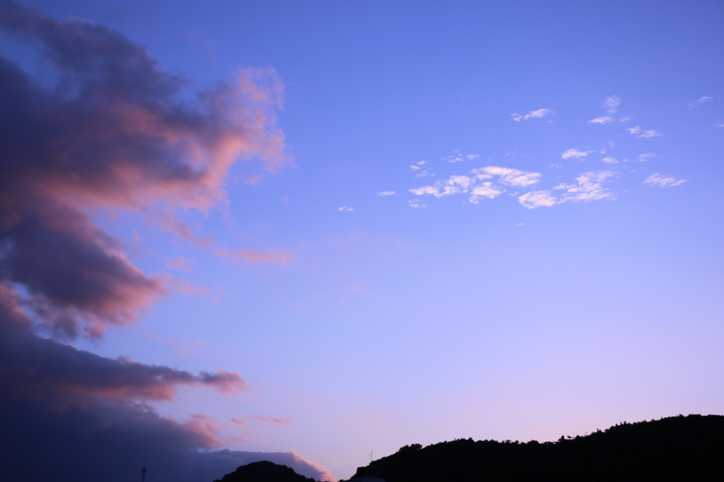 モンスター来襲！！！