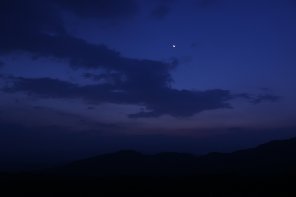 朝月1