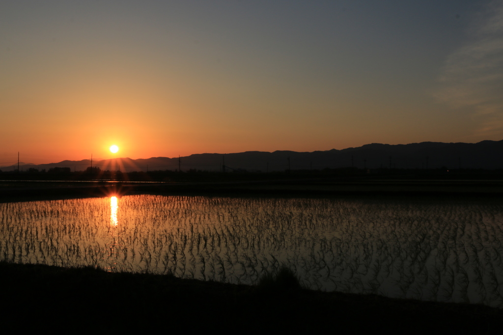 朝陽棒　橙